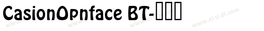 CasionOpnface BT字体转换